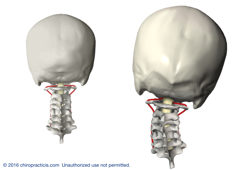 Stone Family Chiropractic Pamela Stone Kennesaw Marietta Chiropractor